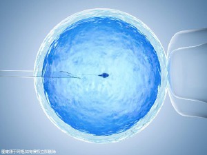陈若晴 副院长